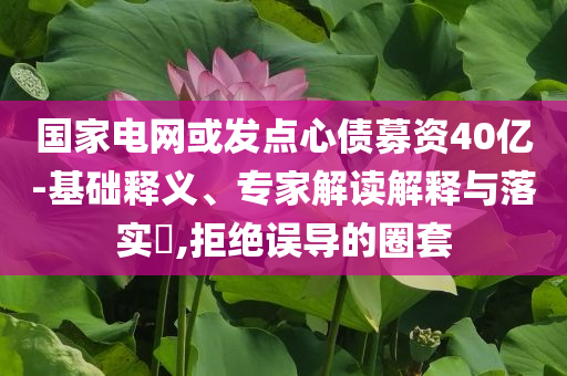 國家電網(wǎng)或發(fā)點心債募資40億-基礎(chǔ)釋義、專家解讀解釋與落實?,拒絕誤導(dǎo)的圈套