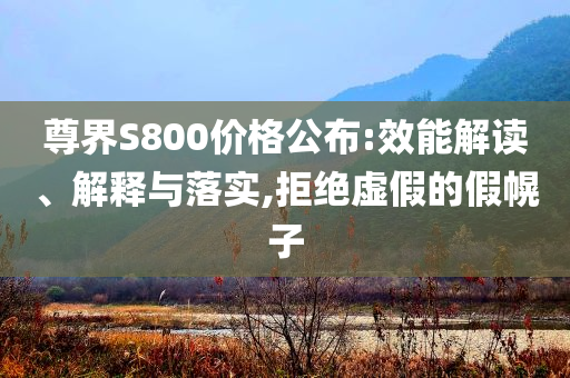 尊界S800價(jià)格公布:效能解讀、解釋與落實(shí),拒絕虛假的假幌子