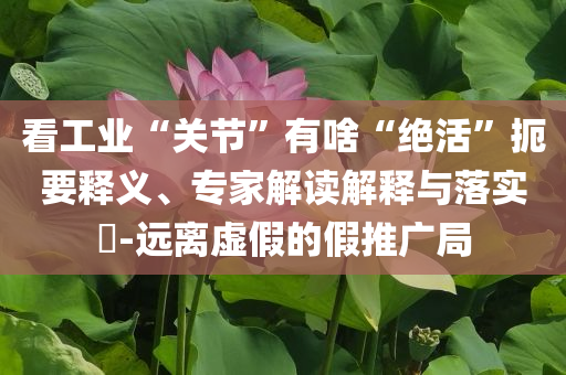 看工業(yè)“關(guān)節(jié)”有啥“絕活”扼要釋義、專(zhuān)家解讀解釋與落實(shí)?-遠(yuǎn)離虛假的假推廣局