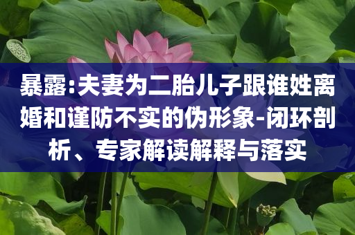 暴露:夫妻為二胎兒子跟誰(shuí)姓離婚和謹(jǐn)防不實(shí)的偽形象-閉環(huán)剖析、專(zhuān)家解讀解釋與落實(shí)