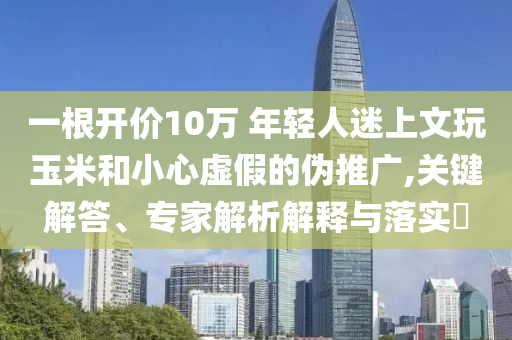 一根開(kāi)價(jià)10萬(wàn) 年輕人迷上文玩玉米和小心虛假的偽推廣,關(guān)鍵解答、專家解析解釋與落實(shí)?
