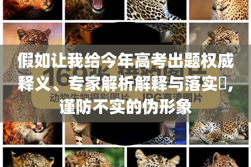 假如讓我給今年高考出題權威釋義、專家解析解釋與落實?,謹防不實的偽形象