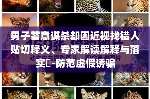 男子蓄意謀殺卻因近視找錯(cuò)人貼切釋義、專家解讀解釋與落實(shí)?-防范虛假誘騙