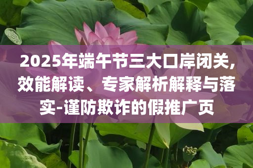 2025年端午節(jié)三大口岸閉關(guān),效能解讀、專家解析解釋與落實(shí)-謹(jǐn)防欺詐的假推廣頁(yè)