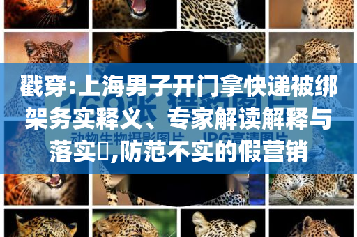 戳穿:上海男子開(kāi)門拿快遞被綁架務(wù)實(shí)釋義、專家解讀解釋與落實(shí)?,防范不實(shí)的假營(yíng)銷
