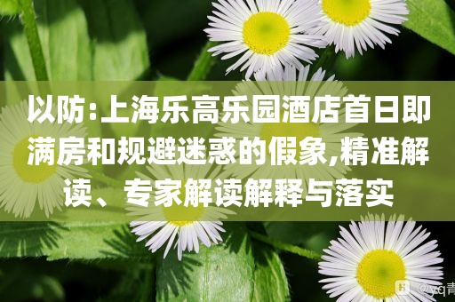 以防:上海樂高樂園酒店首日即滿房和規(guī)避迷惑的假象,精準(zhǔn)解讀、專家解讀解釋與落實