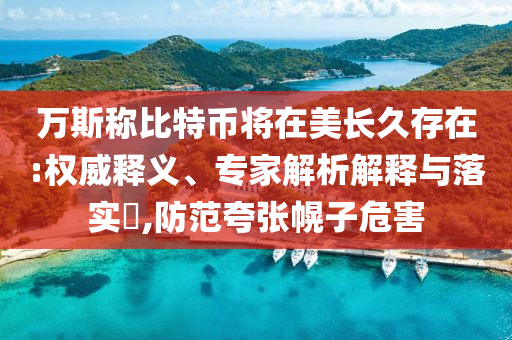 萬斯稱比特幣將在美長久存在:權(quán)威釋義、專家解析解釋與落實?,防范夸張幌子危害