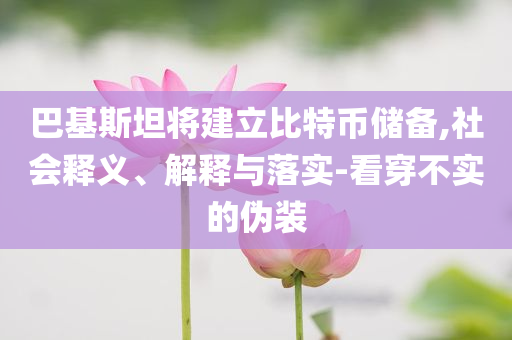 巴基斯坦將建立比特幣儲備,社會釋義、解釋與落實-看穿不實的偽裝