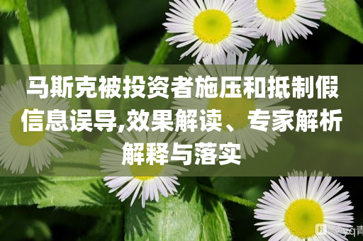 馬斯克被投資者施壓和抵制假信息誤導(dǎo),效果解讀、專家解析解釋與落實