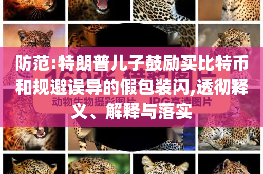 防范:特朗普兒子鼓勵買比特幣和規(guī)避誤導(dǎo)的假包裝閃,透徹釋義、解釋與落實