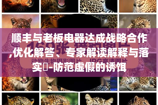 順豐與老板電器達(dá)成戰(zhàn)略合作,優(yōu)化解答、專家解讀解釋與落實?-防范虛假的誘餌