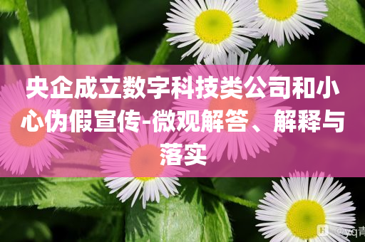 央企成立數(shù)字科技類(lèi)公司和小心偽假宣傳-微觀解答、解釋與落實(shí)