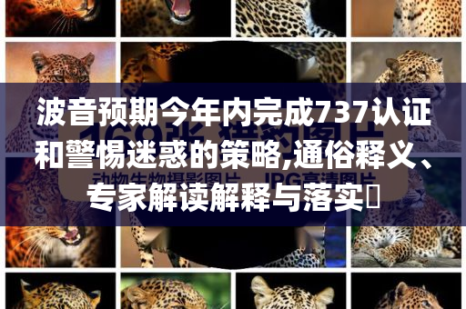 波音預(yù)期今年內(nèi)完成737認(rèn)證和警惕迷惑的策略,通俗釋義、專(zhuān)家解讀解釋與落實(shí)?