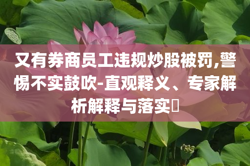 又有券商員工違規(guī)炒股被罰,警惕不實(shí)鼓吹-直觀釋義、專(zhuān)家解析解釋與落實(shí)?