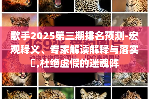 歌手2025第三期排名預測-宏觀釋義、專家解讀解釋與落實?,杜絕虛假的迷魂陣