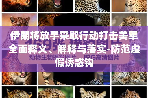 伊朗將放手采取行動(dòng)打擊美軍全面釋義、解釋與落實(shí)-防范虛假誘惑鉤