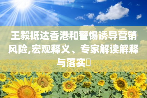 王毅抵達(dá)香港和警惕誘導(dǎo)營銷風(fēng)險(xiǎn),宏觀釋義、專家解讀解釋與落實(shí)?