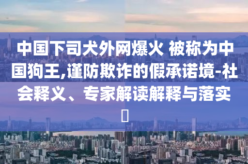 中國下司犬外網(wǎng)爆火 被稱為中國狗王,謹防欺詐的假承諾境-社會釋義、專家解讀解釋與落實?
