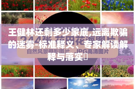王健林還剩多少家底,遠離欺騙的迷霧-標準釋義、專家解讀解釋與落實?