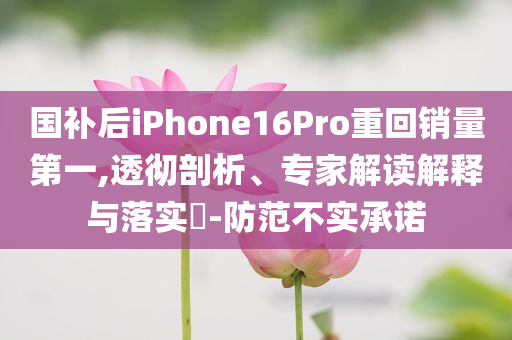 國補后iPhone16Pro重回銷量第一,透徹剖析、專家解讀解釋與落實?-防范不實承諾