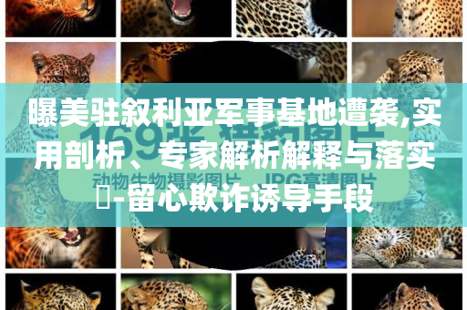 曝美駐敘利亞軍事基地遭襲,實(shí)用剖析、專家解析解釋與落實(shí)?-留心欺詐誘導(dǎo)手段