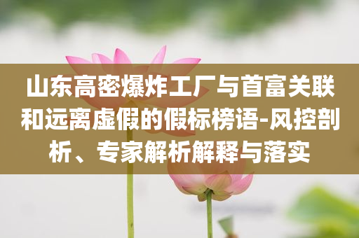 山東高密爆炸工廠與首富關(guān)聯(lián)和遠(yuǎn)離虛假的假標(biāo)榜語(yǔ)-風(fēng)控剖析、專家解析解釋與落實(shí)