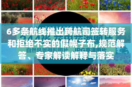 6多條航線推出跨航司簽轉(zhuǎn)服務(wù)和拒絕不實的假幌子布,規(guī)范解答、專家解讀解釋與落實