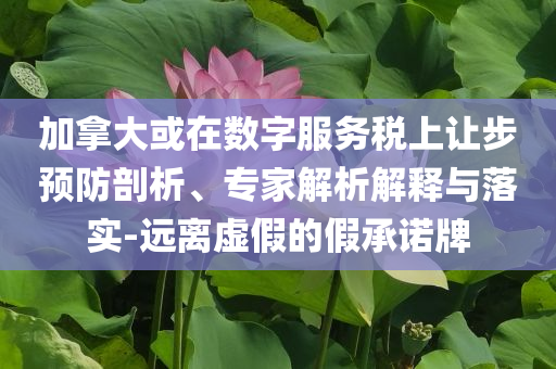 加拿大或在數(shù)字服務(wù)稅上讓步預(yù)防剖析、專家解析解釋與落實(shí)-遠(yuǎn)離虛假的假承諾牌