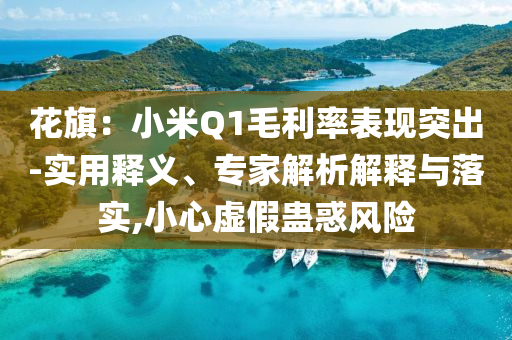 花旗：小米Q1毛利率表現(xiàn)突出-實(shí)用釋義、專家解析解釋與落實(shí),小心虛假蠱惑風(fēng)險(xiǎn)