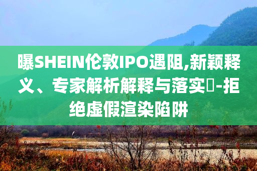 曝SHEIN倫敦IPO遇阻,新穎釋義、專家解析解釋與落實(shí)?-拒絕虛假渲染陷阱