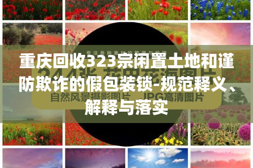 重慶回收323宗閑置土地和謹(jǐn)防欺詐的假包裝鎖-規(guī)范釋義、解釋與落實(shí)