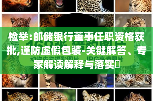 檢舉:郵儲(chǔ)銀行董事任職資格獲批,謹(jǐn)防虛假包裝-關(guān)鍵解答、專家解讀解釋與落實(shí)?