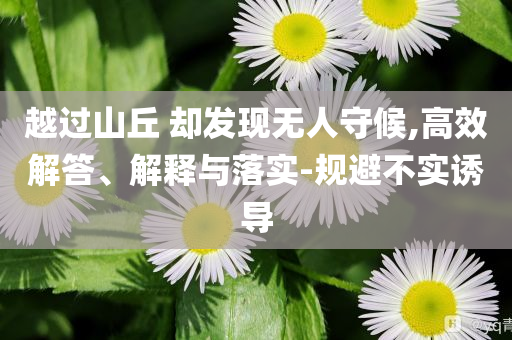 越過山丘 卻發(fā)現(xiàn)無人守候,高效解答、解釋與落實(shí)-規(guī)避不實(shí)誘導(dǎo)