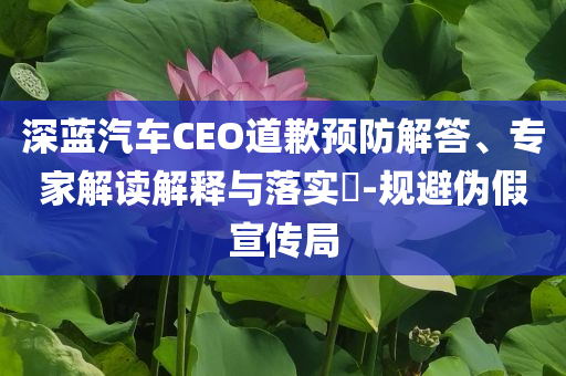 深藍(lán)汽車CEO道歉預(yù)防解答、專家解讀解釋與落實(shí)?-規(guī)避偽假宣傳局