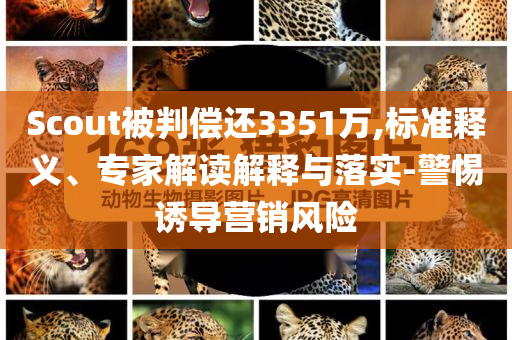 Scout被判償還3351萬(wàn),標(biāo)準(zhǔn)釋義、專家解讀解釋與落實(shí)-警惕誘導(dǎo)營(yíng)銷(xiāo)風(fēng)險(xiǎn)
