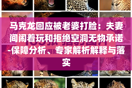馬克龍回應被老婆打臉：夫妻間鬧著玩和拒絕空洞無物承諾-保障分析、專家解析解釋與落實