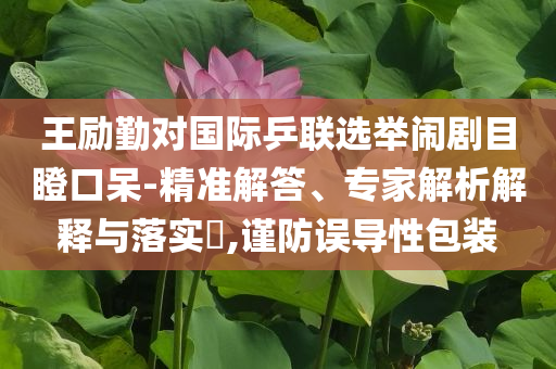 王勵勤對國際乒聯(lián)選舉鬧劇目瞪口呆-精準(zhǔn)解答、專家解析解釋與落實(shí)?,謹(jǐn)防誤導(dǎo)性包裝