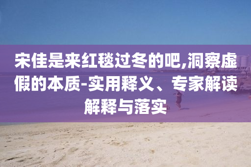 宋佳是來紅毯過冬的吧,洞察虛假的本質(zhì)-實(shí)用釋義、專家解讀解釋與落實(shí)