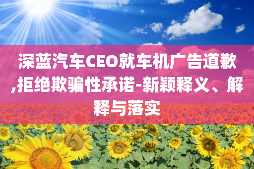 深藍汽車CEO就車機廣告道歉,拒絕欺騙性承諾-新穎釋義、解釋與落實