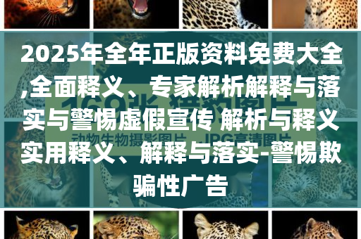 2025年全年正版資料免費(fèi)大全,全面釋義、專家解析解釋與落實(shí)與警惕虛假宣傳 解析與釋義實(shí)用釋義、解釋與落實(shí)-警惕欺騙性廣告