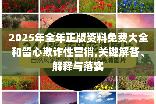 2025年7月3日 第51頁(yè)