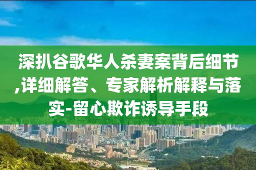 深扒谷歌華人殺妻案背后細(xì)節(jié),詳細(xì)解答、專家解析解釋與落實-留心欺詐誘導(dǎo)手段