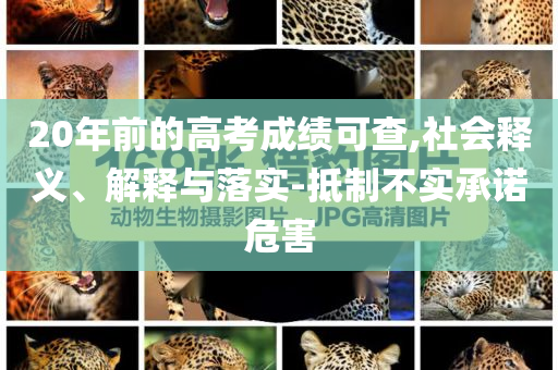 20年前的高考成績(jī)可查,社會(huì)釋義、解釋與落實(shí)-抵制不實(shí)承諾危害