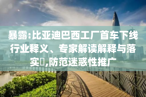 暴露:比亞迪巴西工廠首車下線行業(yè)釋義、專家解讀解釋與落實?,防范迷惑性推廣