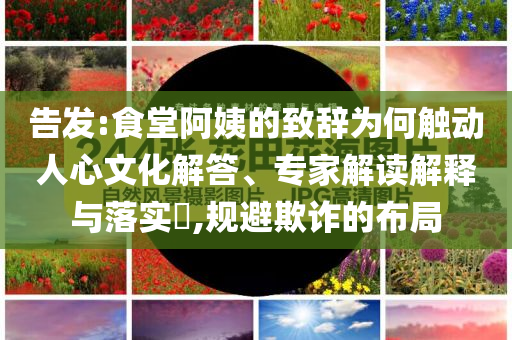 告發(fā):食堂阿姨的致辭為何觸動(dòng)人心文化解答、專家解讀解釋與落實(shí)?,規(guī)避欺詐的布局
