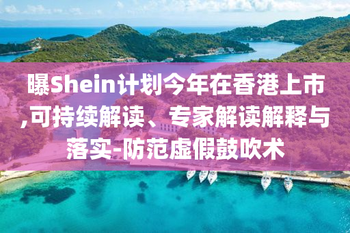 曝Shein計(jì)劃今年在香港上市,可持續(xù)解讀、專家解讀解釋與落實(shí)-防范虛假鼓吹術(shù)