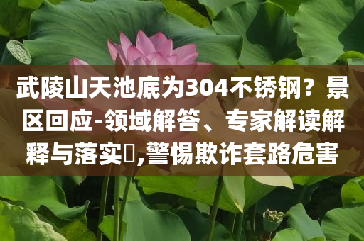 武陵山天池底為304不銹鋼？景區(qū)回應-領域解答、專家解讀解釋與落實?,警惕欺詐套路危害