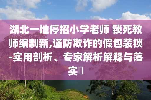 湖北一地停招小學(xué)老師 鎖死教師編制新,謹(jǐn)防欺詐的假包裝鎖-實用剖析、專家解析解釋與落實?
