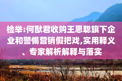 檢舉:何猷君收購王思聰旗下企業(yè)和警惕營銷假把戲,實用釋義、專家解析解釋與落實