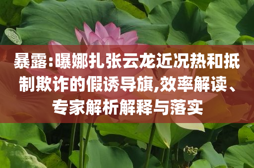 暴露:曝娜扎張云龍近況熱和抵制欺詐的假誘導(dǎo)旗,效率解讀、專家解析解釋與落實